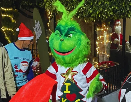 show de botarga del grinch para fiestas de navidad
